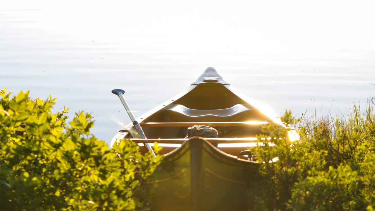 Exploring the Impact of Premium Streaming Services - Best IPTV Subscription